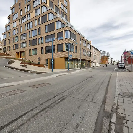 The Arctic Urban Haven *